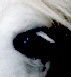 Avatar U�ytkownika